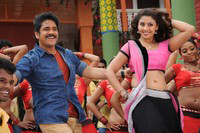 Bhai Movie New Stills